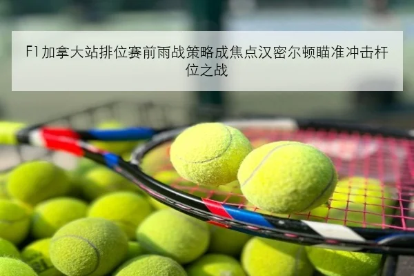 F1加拿大站排位赛前雨战策略成焦点汉密尔顿瞄准冲击杆位之战